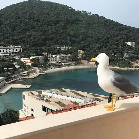 Apartment Golden View - Free Parking *