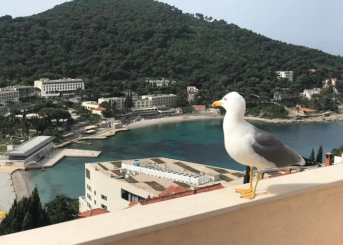 公寓 Golden View - Free Parking *